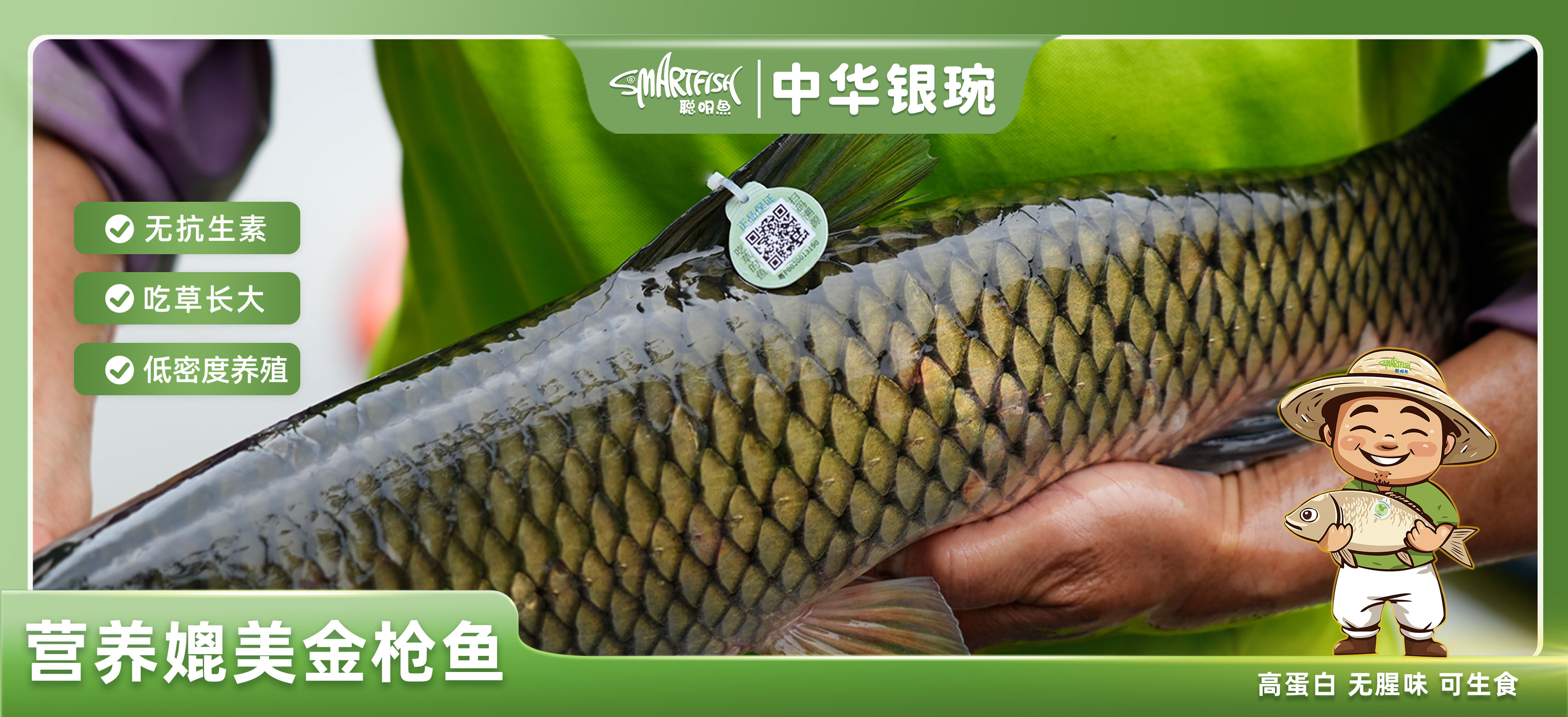 活动封面